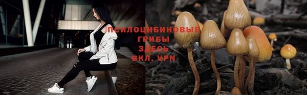 стафф Алексин