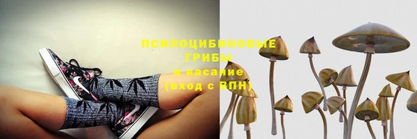 каннабис Алексеевка