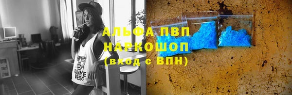 стафф Алексин