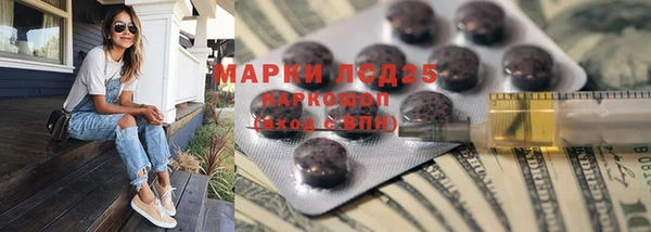 стафф Алексин