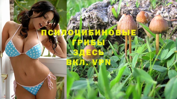 Альфа ПВП Алзамай
