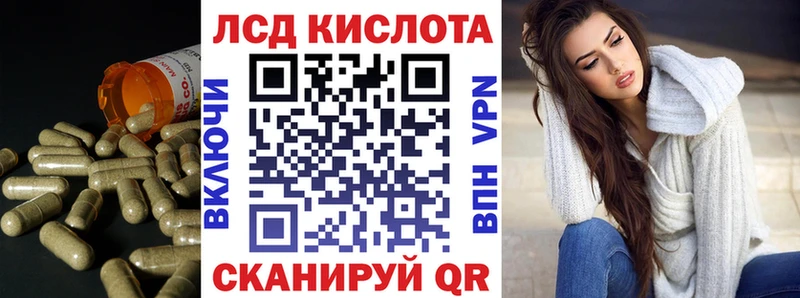 Лсд 25 экстази кислота блэк спрут ссылки Геленджик